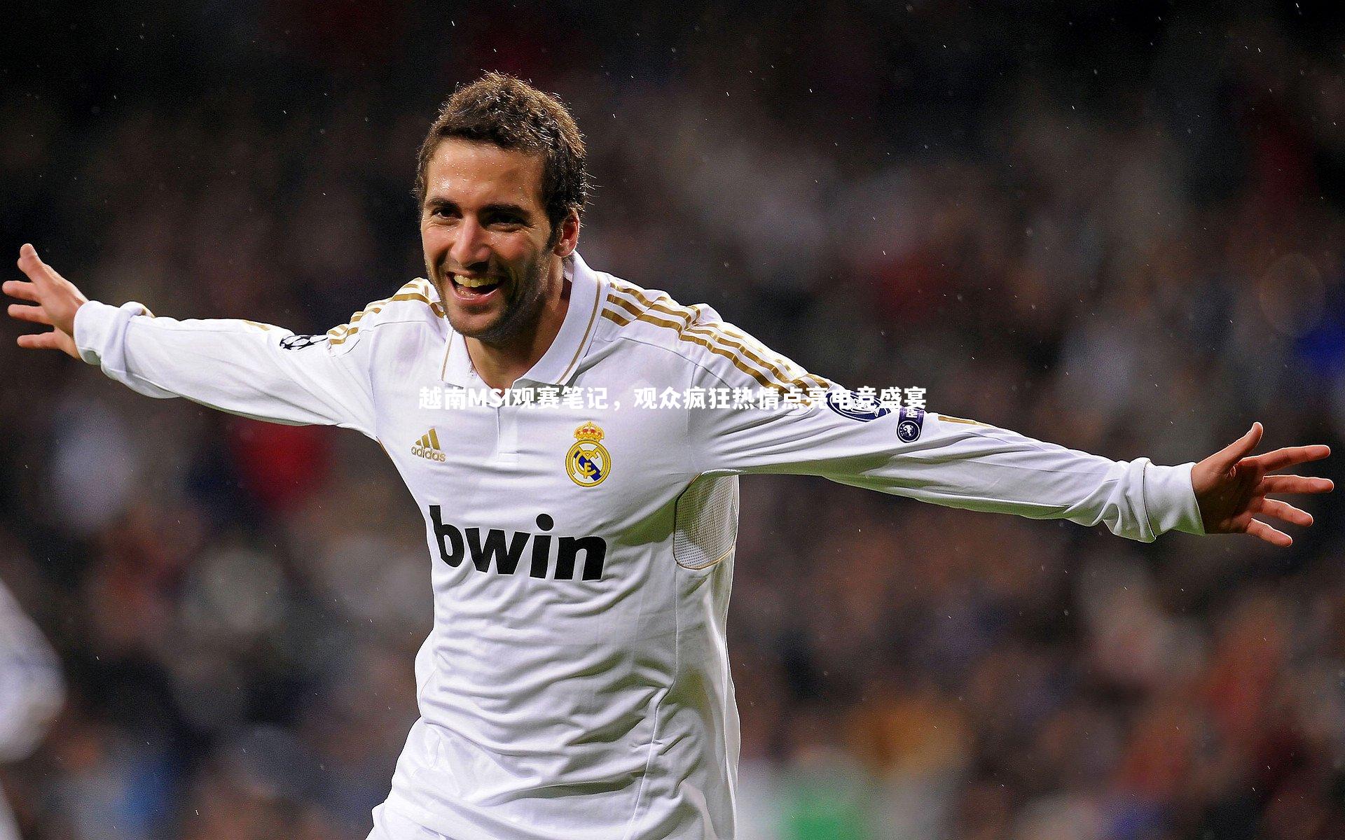 越南MSI观赛笔记,观众疯狂热情点亮电竞盛宴